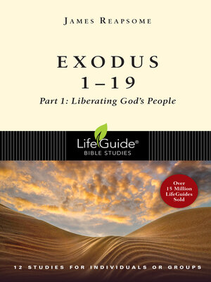 cover image of Exodus 20-40